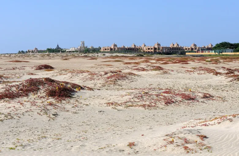 Low resort buildings seen across sand and succulent groundcover at Santa Maria on Sal.
