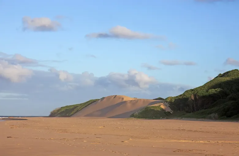 A high vegetated sand dune rising above an empty beach in Maputo National Park, late afternoon light along the shore.