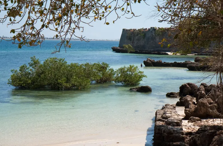 The stone bastion of São Sebastião Fortress on the Island of Mozambique, seen across mangrove shallows and exposed reef.