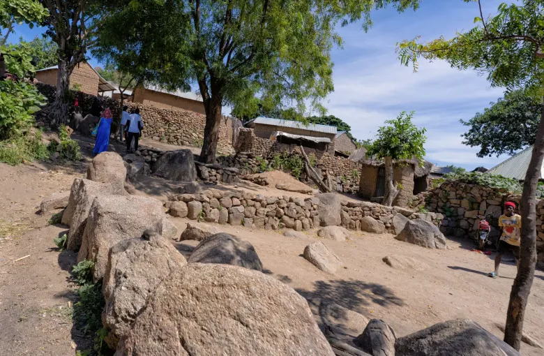 Dry-stone terrace walls, paved paths and thatched granaries in the hillside settlement of Sukur in Adamawa State, Nigeria.
